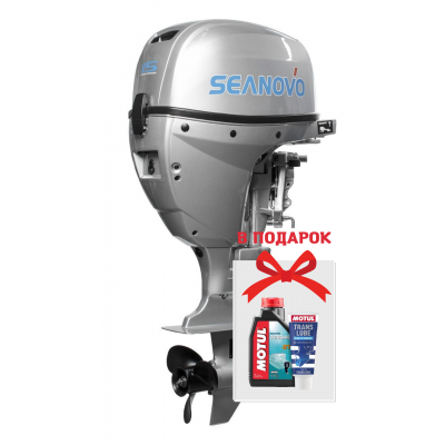 Лодочные моторы Seanovo SNF 15 FES Enduro